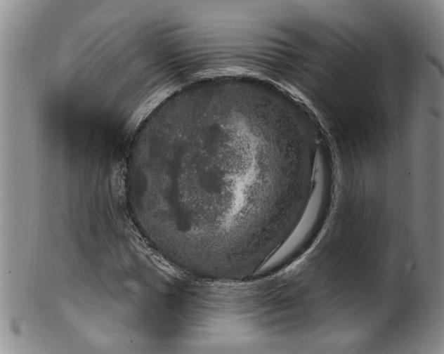 X0000100360921200806061134