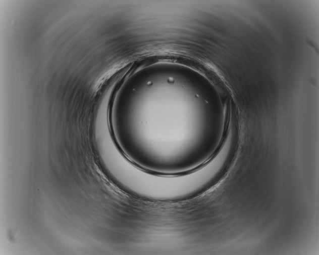 X0000100360922200806061134