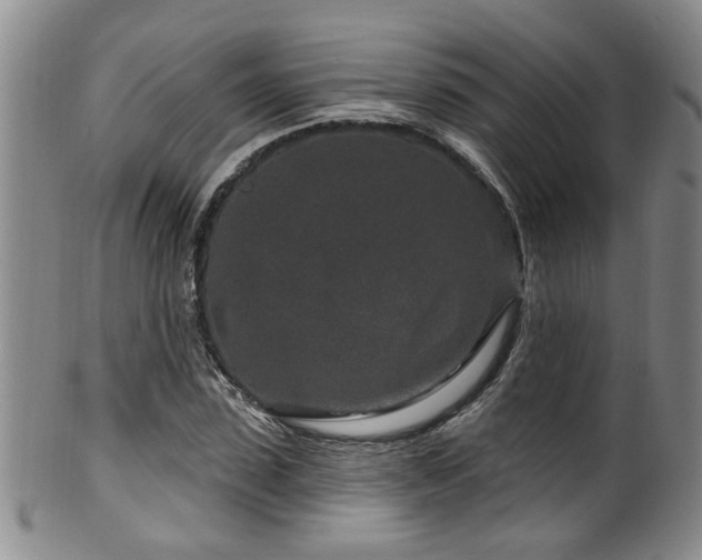X0000100360923200806061134