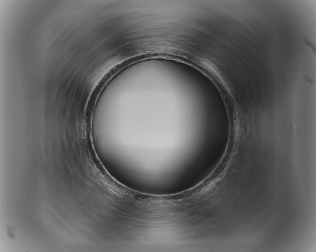 X0000100360924200806061134