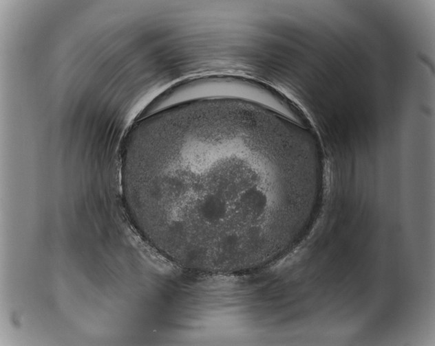 X0000100360925200806061134