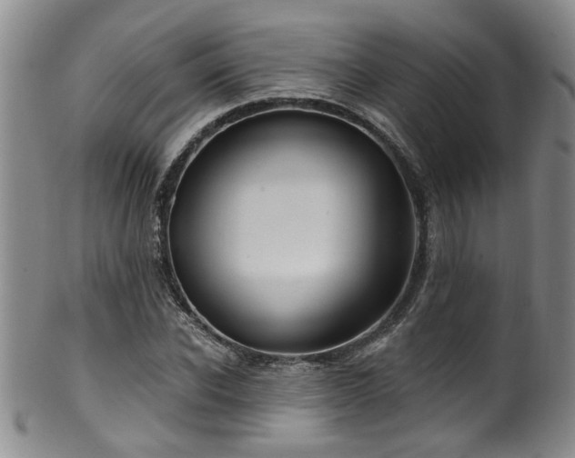 X0000100360926200806061134
