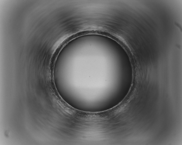 X0000100360927200806061134