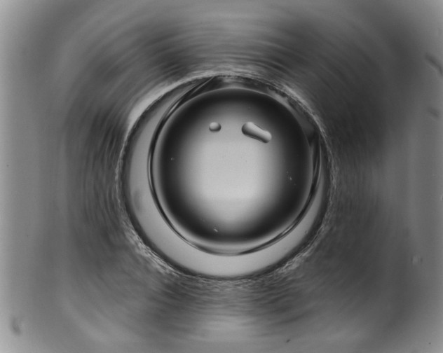 X0000100360928200806061134