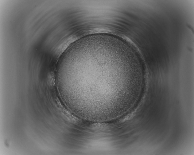 X0000100360929200806061134
