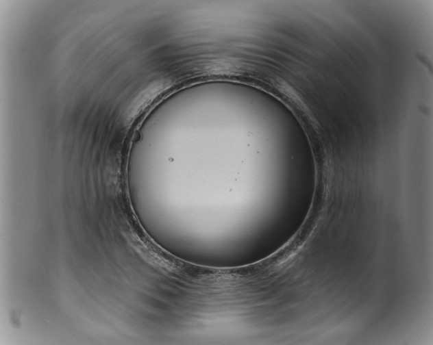 X0000100360930200806061134