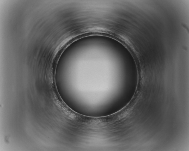 X0000100360931200806061134