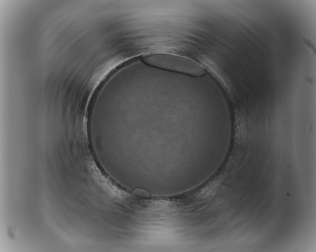 X0000100360932200806061134