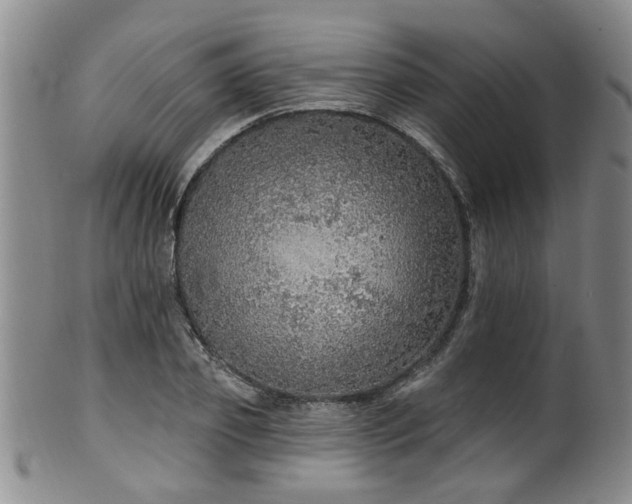 X0000100360933200806061134