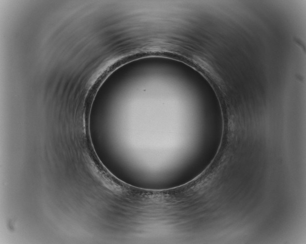 X0000100360934200806061134