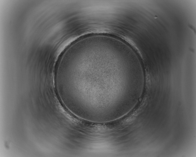 X0000100360935200806061134