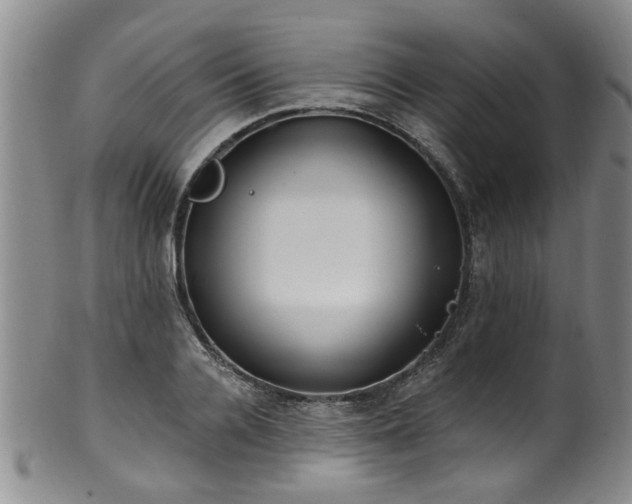 X0000100360936200806061134