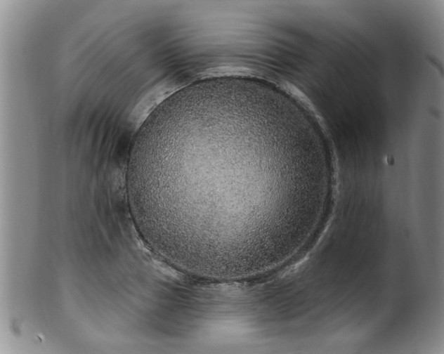 X0000100360937200806061134