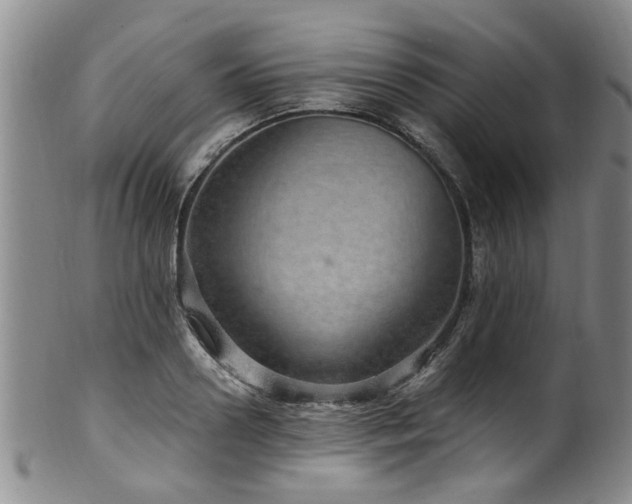X0000100360938200806061134