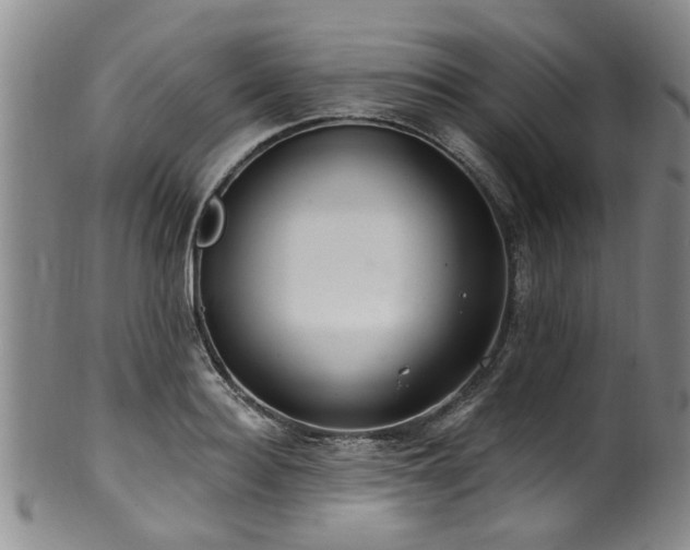 X0000100360940200806061135