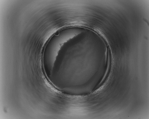 X0000100360941200806061135