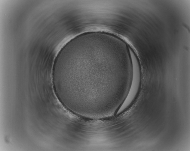 X0000100360943200806061135
