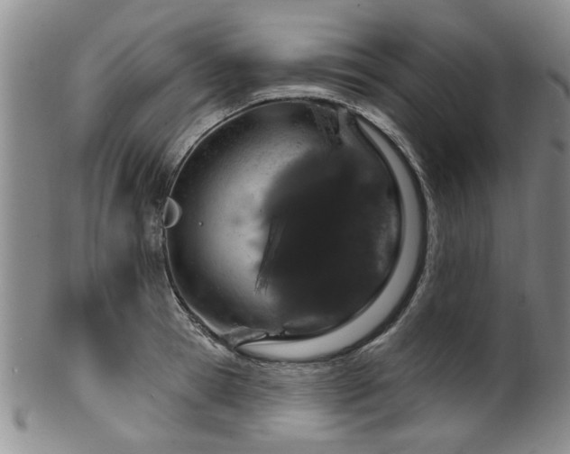 X0000100360945200806061135