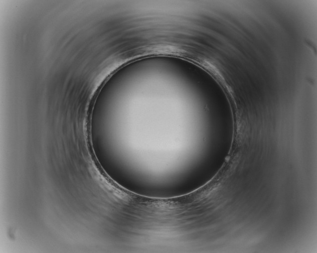 X0000100360947200806061135