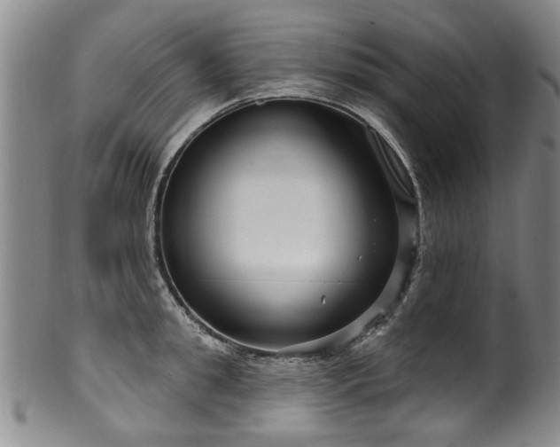 X0000100360949200806061135