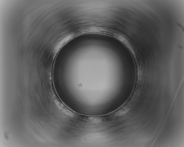 X0000100360954200806061135