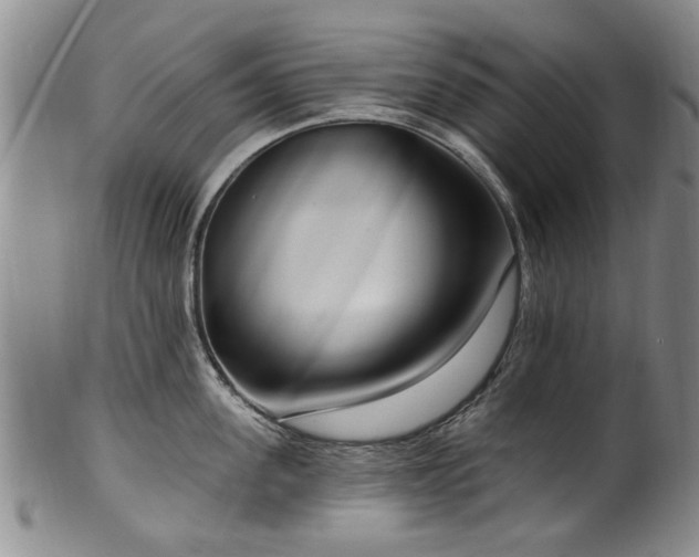 X0000100360955200806061135