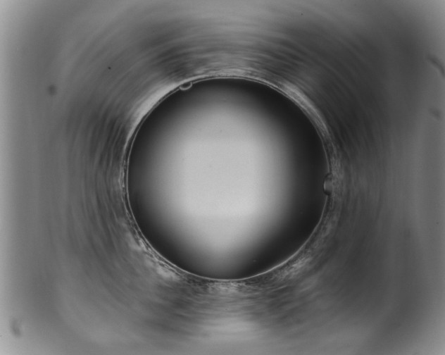 X0000100360956200806061135