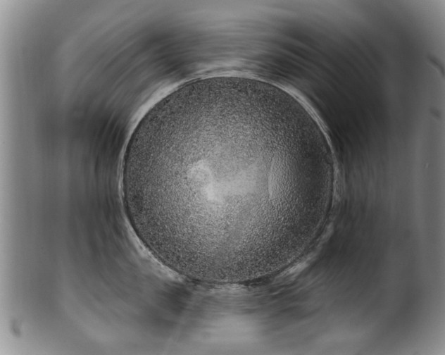 X0000100360957200806061135