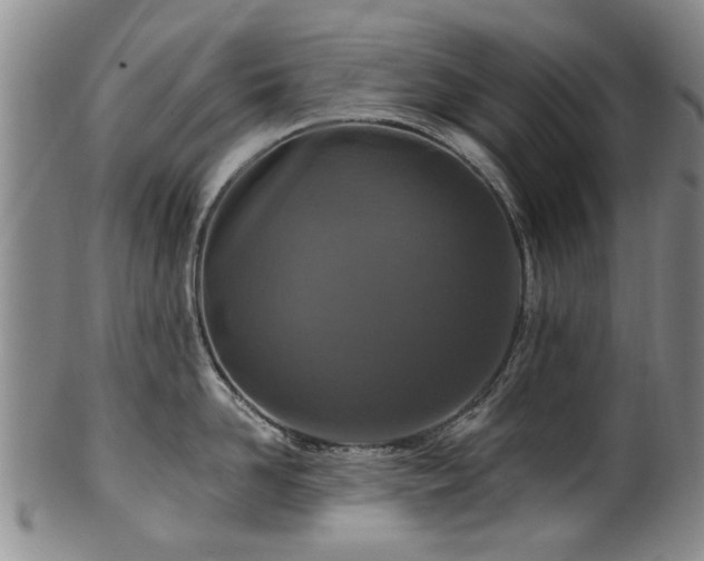 X0000100360958200806061135
