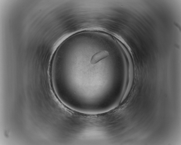X0000100360959200806061135