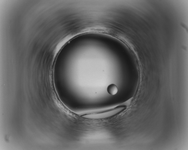 X0000100360960200806061135