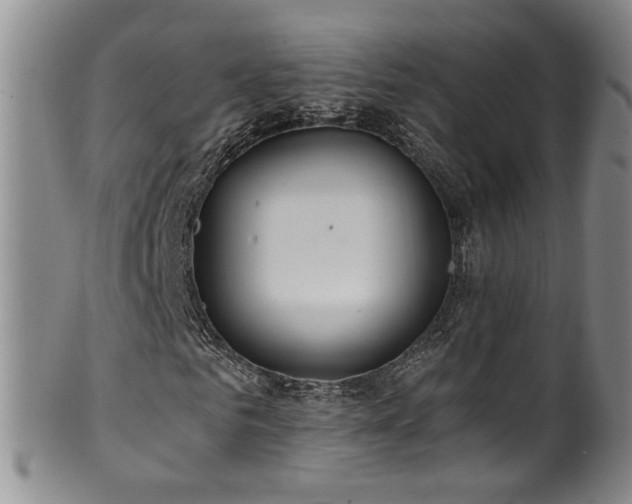 X0000100360961200806061134
