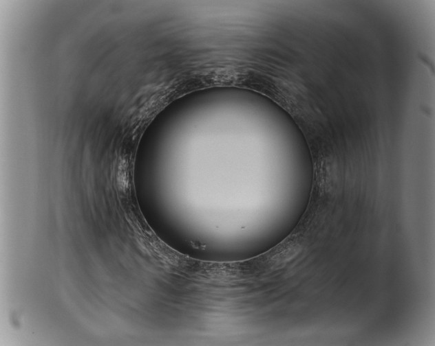 X0000100360962200806061134