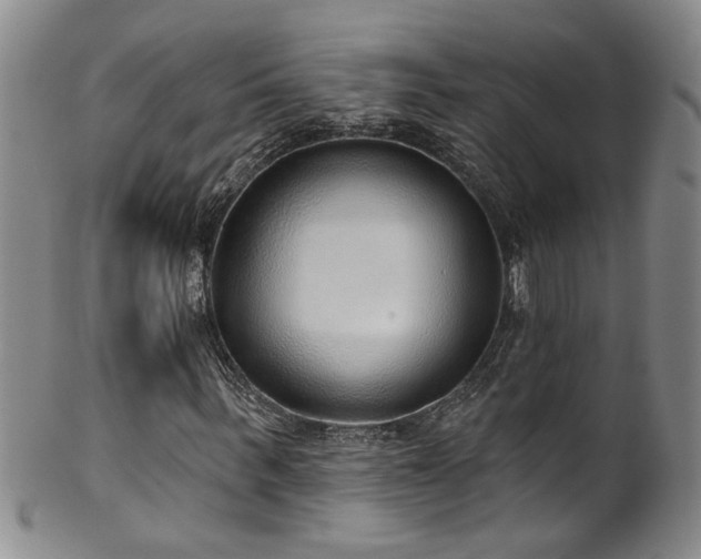 X0000100360963200806061134