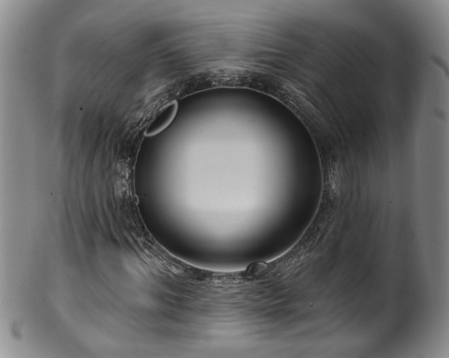 X0000100360964200806061134