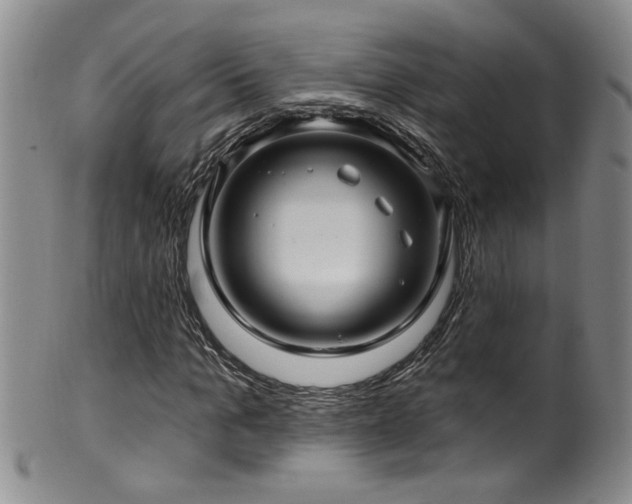 X0000100360965200806061134