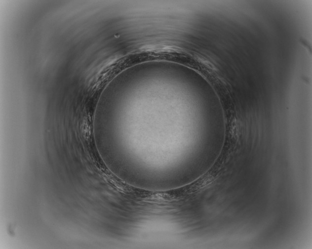 X0000100360966200806061134