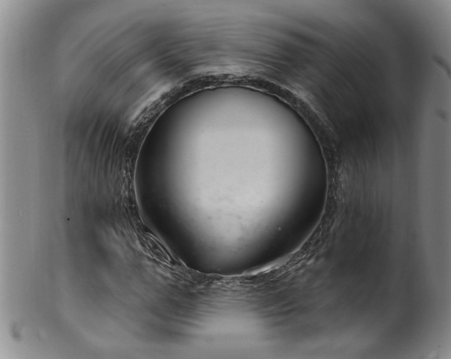 X0000100360967200806061134