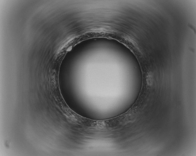 X0000100360968200806061134