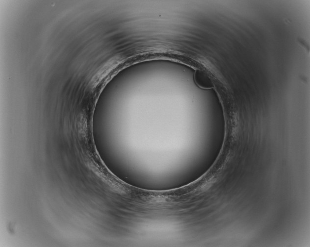 X0000100360969200806061134