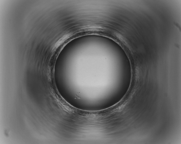X0000100360970200806061134