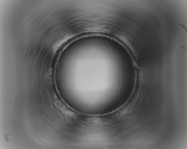 X0000100360971200806061134