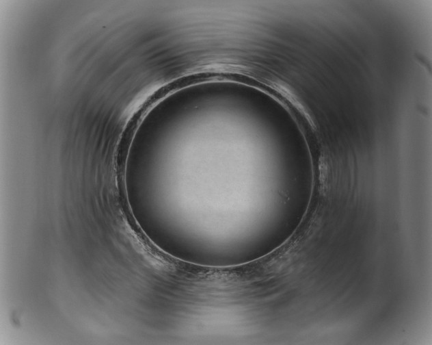 X0000100360972200806061134