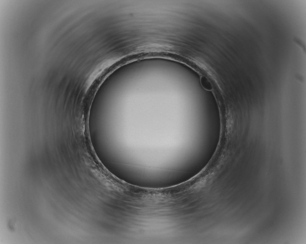X0000100360973200806061134