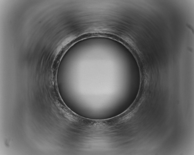 X0000100360974200806061134