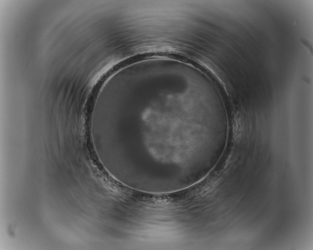 X0000100360975200806061134