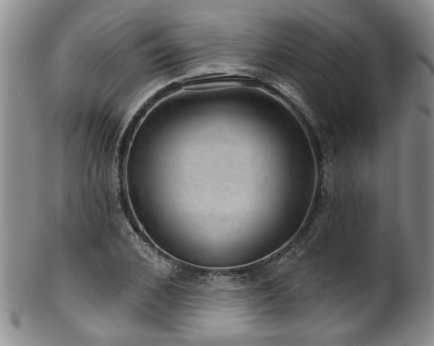 X0000100360976200806061134