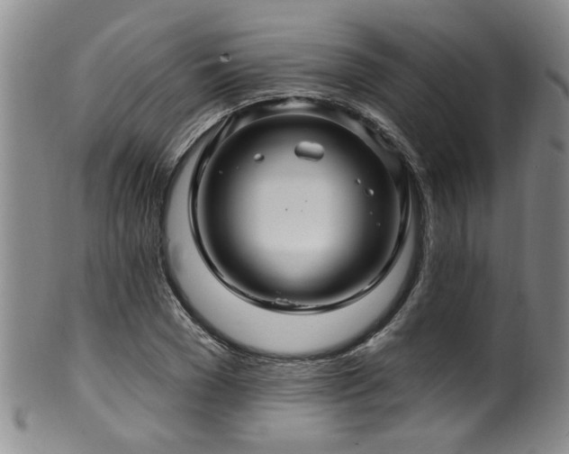 X0000100360977200806061134