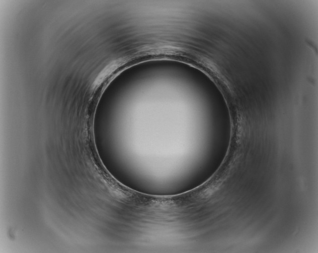 X0000100360978200806061134