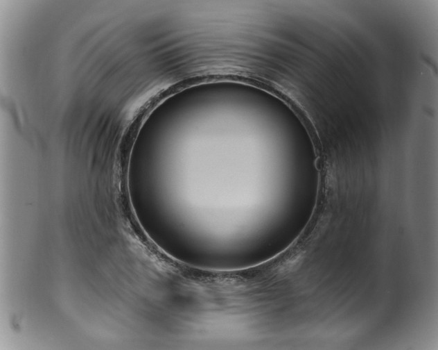 X0000100360979200806061134